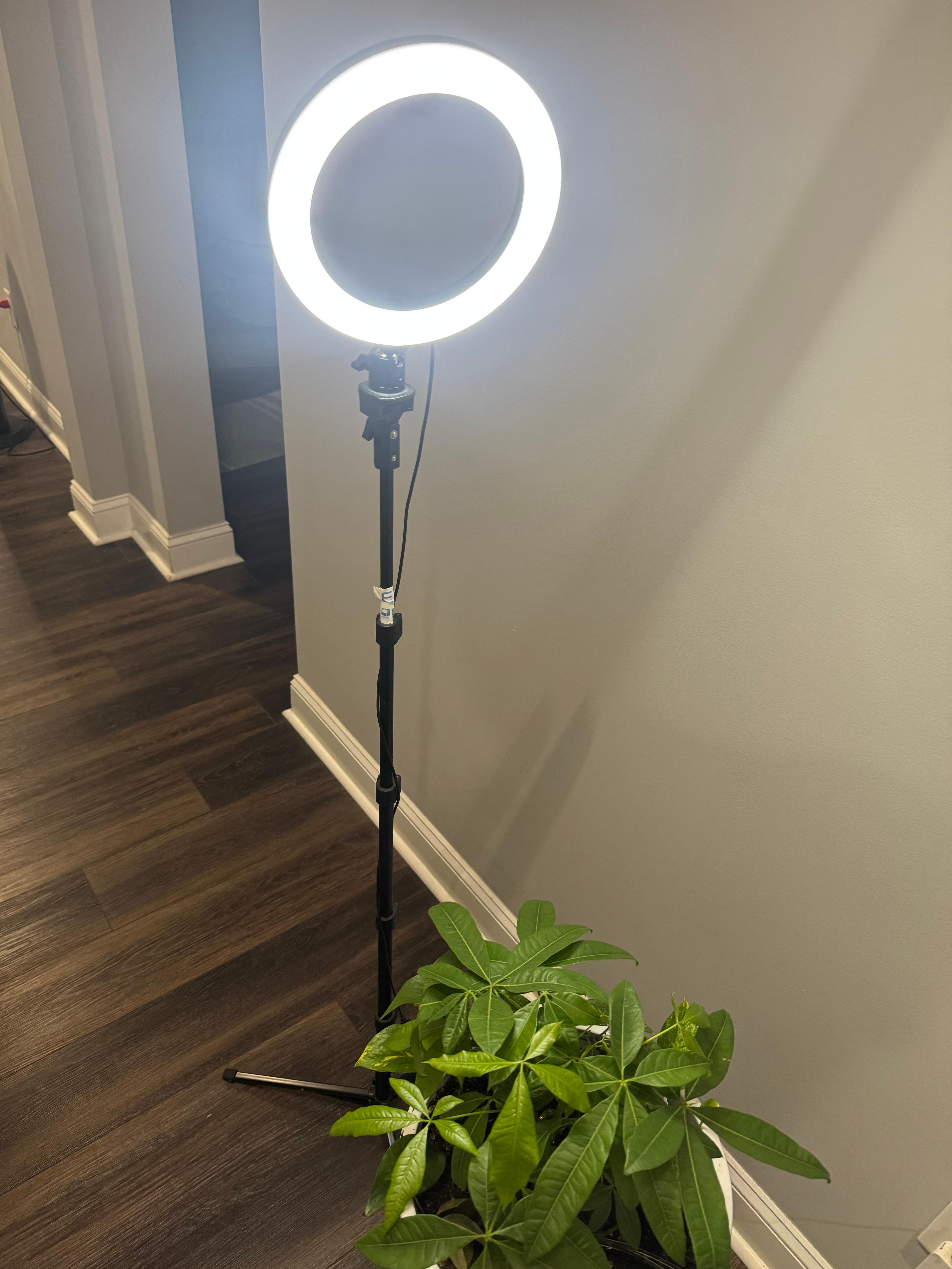 Ring light